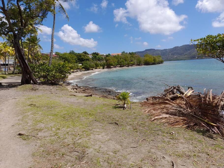 A Deux Pas De La Plage Sainte-Luce Eksteriør bilde